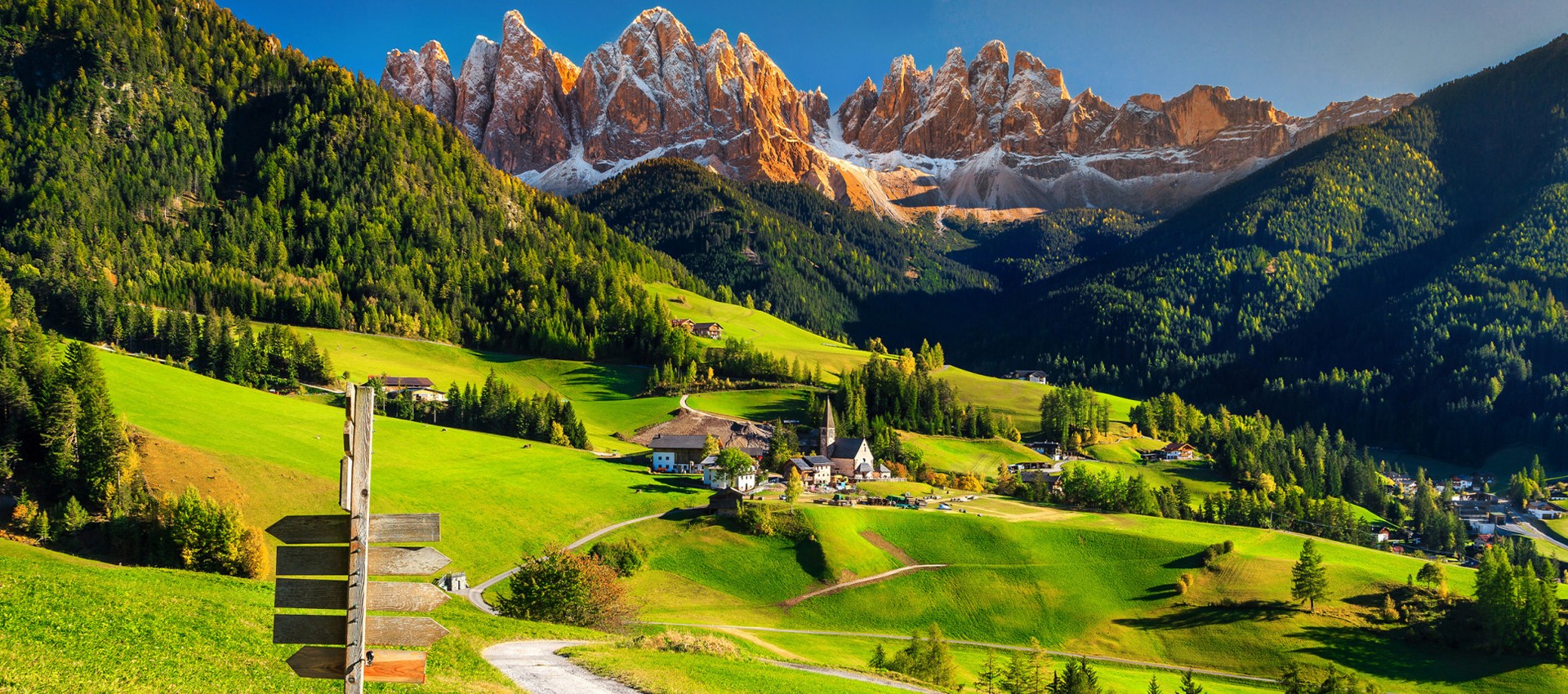 trentino miele
